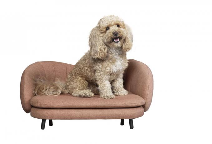 Sofa voor hond/kat