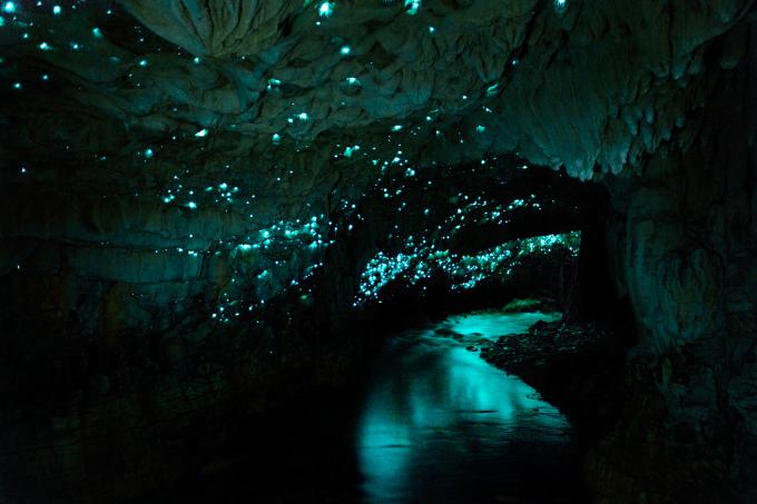 La Grotte de Waitomo, Nouvelle-Zélande