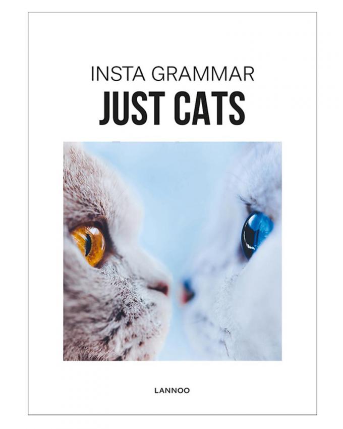 Boek 'Insta Grammar - Just Cats'