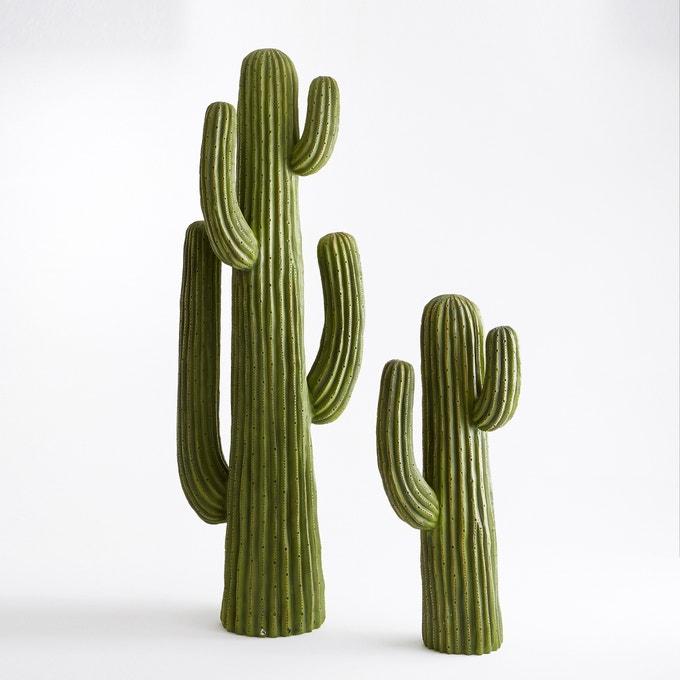 Cactus in hars