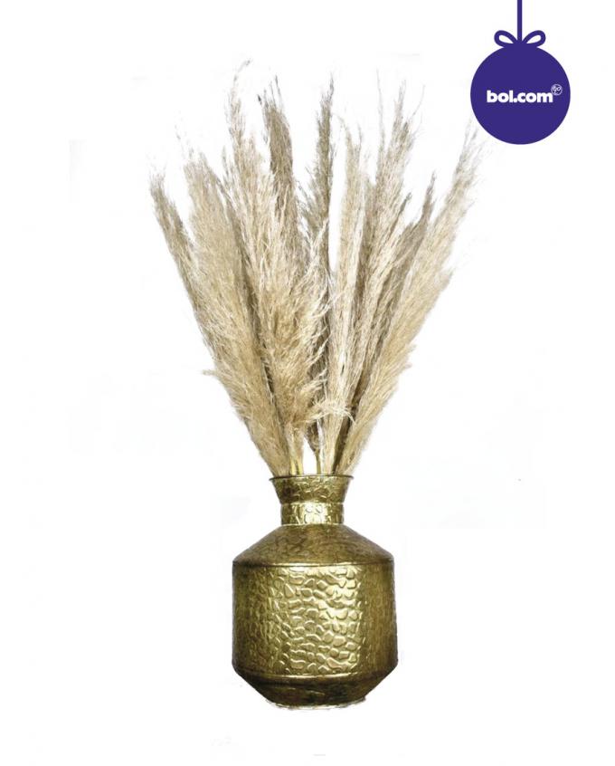 Pampaspluimen (3 stuks)