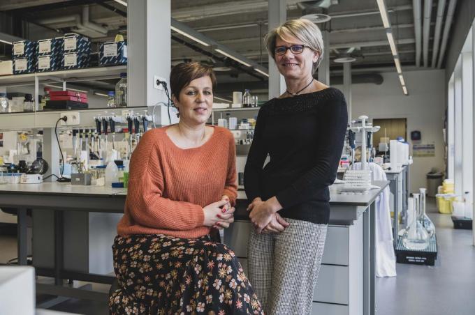 Doneer plasma, het kan levens redden. Misschien wel het mijne - KW.be