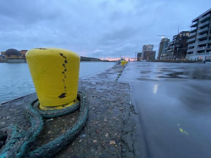 De bolders werden door de haven al in het geel geschilderd, maar dat blijkt niet voldoende.©Jeffrey Roos Jeffrey Roos