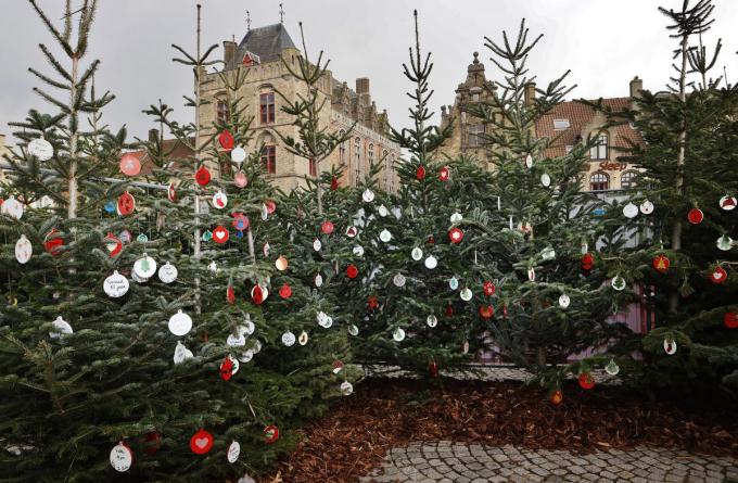 Het kerstbos telt al 4.000 kerstballen met een warme boodschap.©Myriam Van den Putte