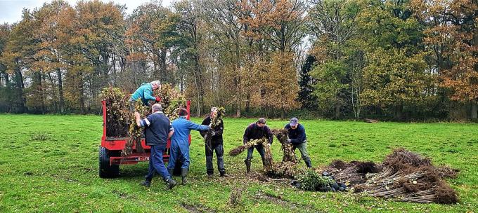 Op het nieuw bosgedeelte werden er 7.000 bomen en struiken geplant.© LV