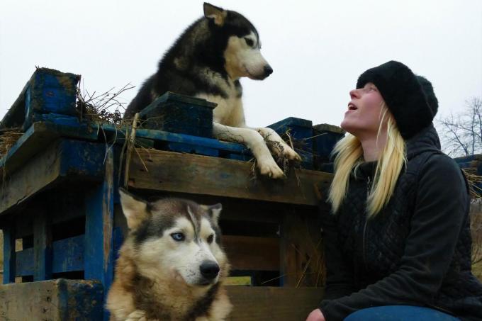 Drie jaar geleden verhuisde Sharon Oplinus naar Hongarije om zieke dieren te helpen. Maar de crisis zorgt er nu voor dat ze niet langer financieel kan instaan voor de dieren.© gf