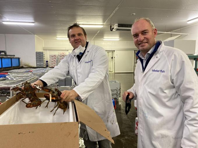 Het Deerlijkse bedrijf Lobster Fish is de nummer één in de sector van de schaal- en schelpdieren. Je bemerkt Nils Vanwassenhove en CEO Christof Malysse aan de kreeftenbakken.© DRD