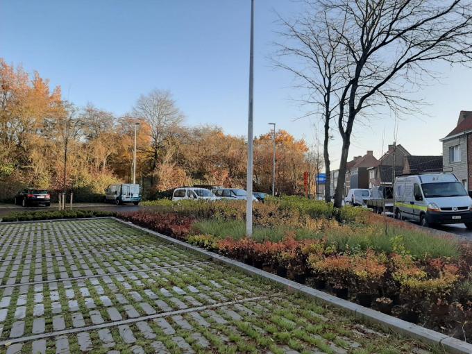Voor de parking in de Krekelstraat koos de stad resoluut voor ontharding en vergroening. De parkeerplaatsen werden aangelegd met waterdoorlaatbare klinkers en ook de plantvakken werden fors uitgebreid.© gf