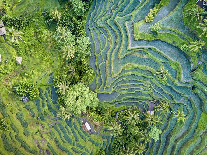 Bali en Indonésie