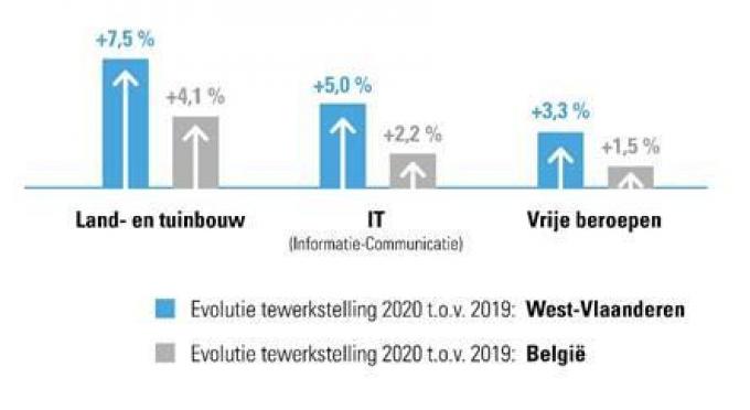 De sterkste groeisectoren in 2020 op vlak van personeelsbestand in provincie West-Vlaanderen.© Acerta