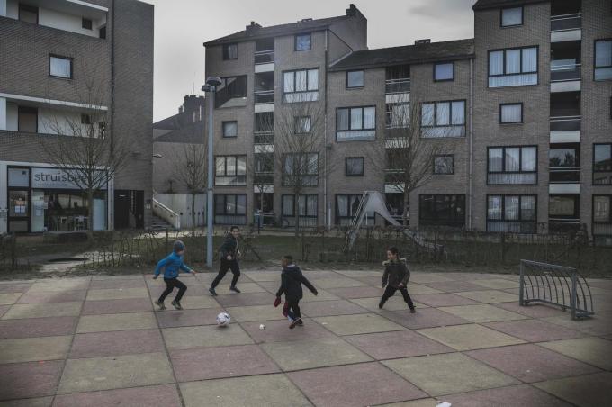 Van een verouderde, betonnen wijk evolueert Spijker en Schardauw naar een groene, open en aangename leefomgeving.© Olaf Verhaeghe