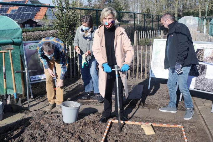 Minister Crevits in het Torhoutse volkstuintje van Pol Diopere (rechts) als eerste ‘burgerwetenschapper’ aan de slag voor het sojaproject.©Johan Sabbe