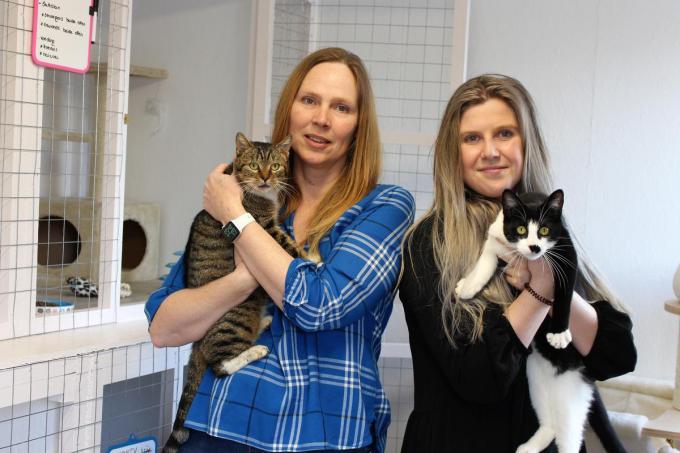 Miranda Luypaert en Silke Devriendt zijn de initiatiefnemers van kattenasiel All4Cats.©Laurette Ingelbrecht