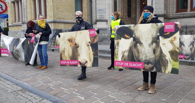 Animal Rights voerde vanmorgen actie aan de Ieperse rechtbank.