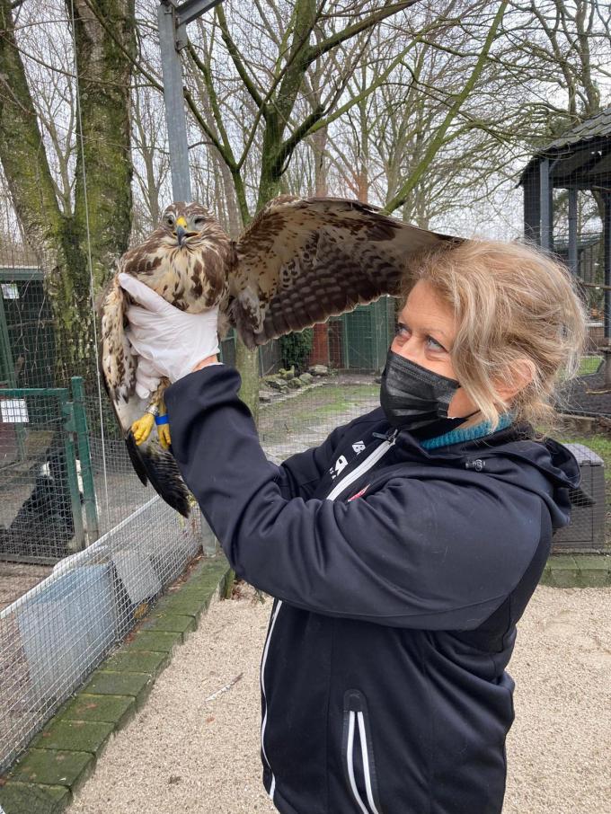 Dierenvriend en schepen Cathy Matthieu is op zoek naar extra vrijwilligers.© AN