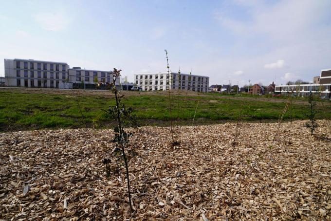 Op dit terrein, gelegen voor woonzorgcentrum De Zonnewende, verschijnen straks de warme tuinen.© LB