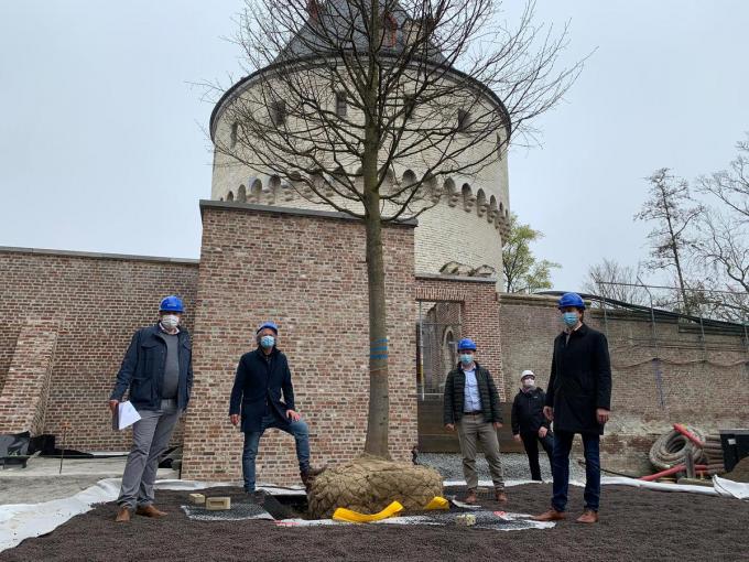 Schepen Wout Maddens stak een handje toe bij het planten van de linde.© Stad Kortrijk