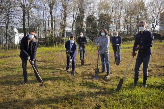 Curieus plantte honderd bomen op de bedrijfsterreinen van TE Connectivity in Oostkamp.© GST