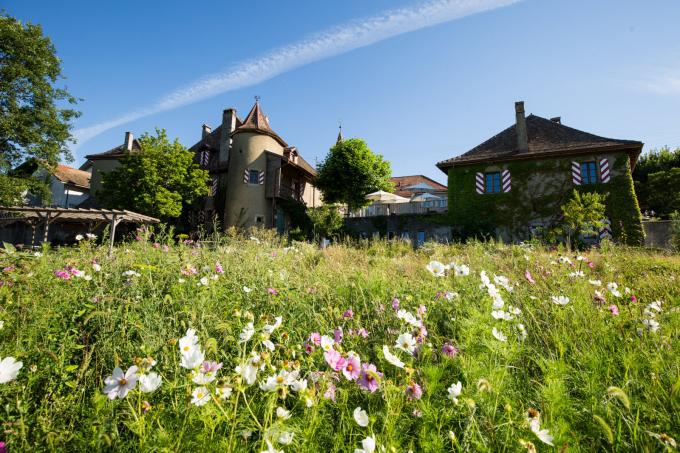 Château Rochefort