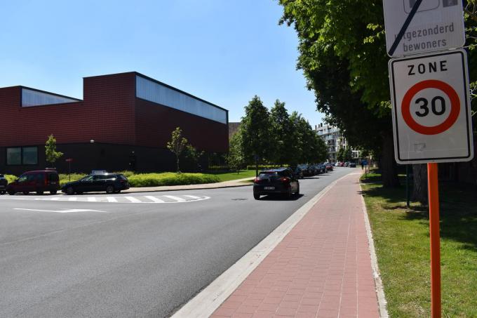 De Plumerlaan is een zone 30, maar volgens Jan Breyne rijden bestuurders er vaak te snel. (Foto TOGH)