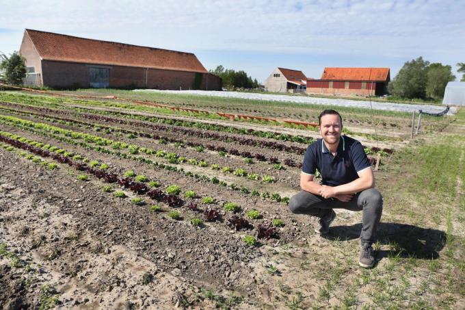 Dries Maeckelbergh (37) teelt op De Elzenhoeve op biologische wijze 40 soorten groenten. “Die verkopen we vooral via groenteabonnementen”, zegt hij.©Johan Sabbe