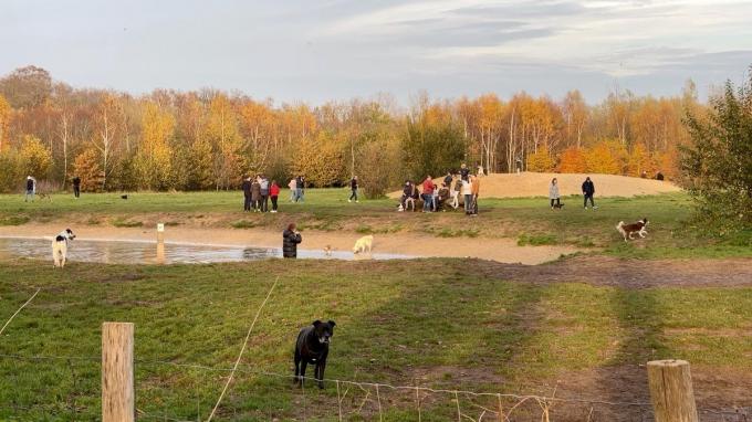 De hondenspeelweide aan het Ryckeveldebos.© JVMA