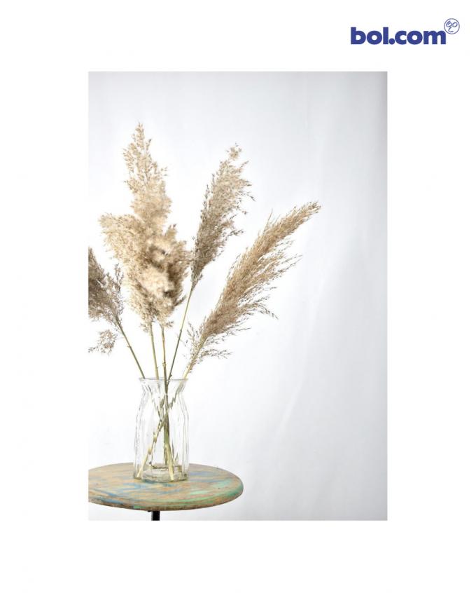 Stijl 2 - Pampas pluimen