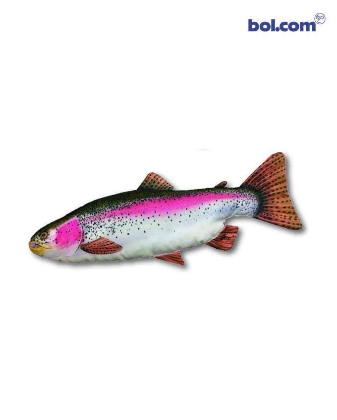 Droomdecor 1:  Kussen in de vorm van forel