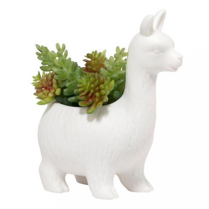 Lama bloempot