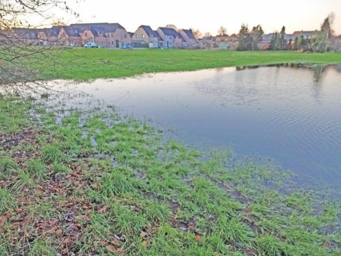 Een ander zicht op Mispelaar in de natte winter van 2018.