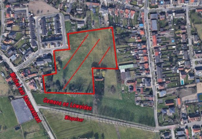 Het gebied in Assebroek waar de sociale woningen komen.