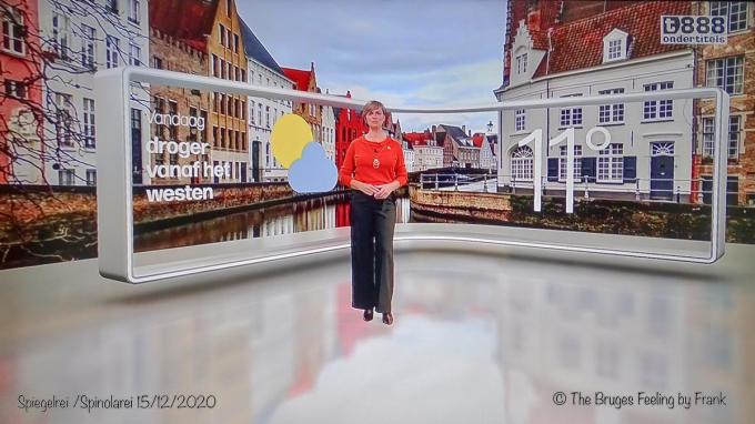 In september 2019 rondde Frank bij Sabine Hagedoren, Frank Deboosere en Bram Verbruggen al de kaap van honderd beelden: “Ik zit nog altijd met een zekere spanning te kijken.”