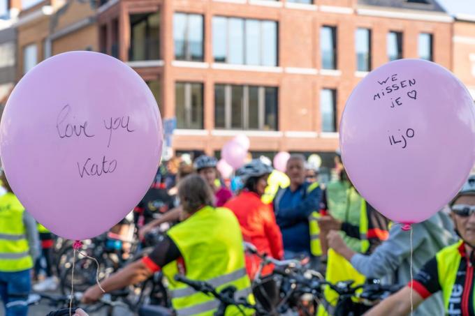 Roze ballonnen met boodschappen aan Kato.