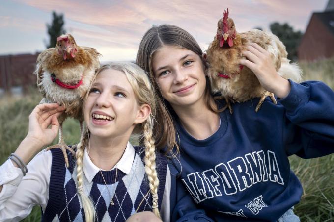 Alyssa en Eliza trekken er regelmatig op uit met hun kippen Jip en Olaf.