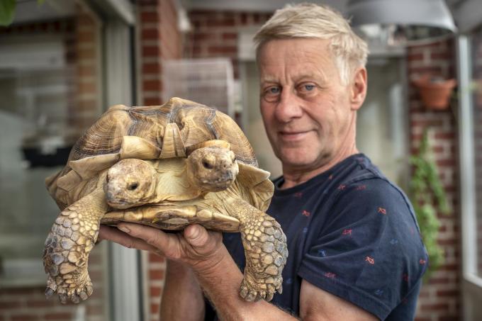 Rony met zijn tweekoppige schildpad. “Ik heb speciaal voor haar een veranda laten bouwen.”