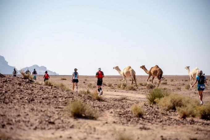 De Ultra x Jordan, goed voor een totaalafstand van 250 kilometer en meer dan 2.500 hoogtemeters is in de Wadi Rum-woestijn een meer dan pittige uitraloop.