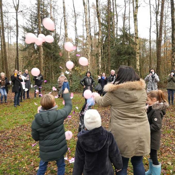 Gender reveal party