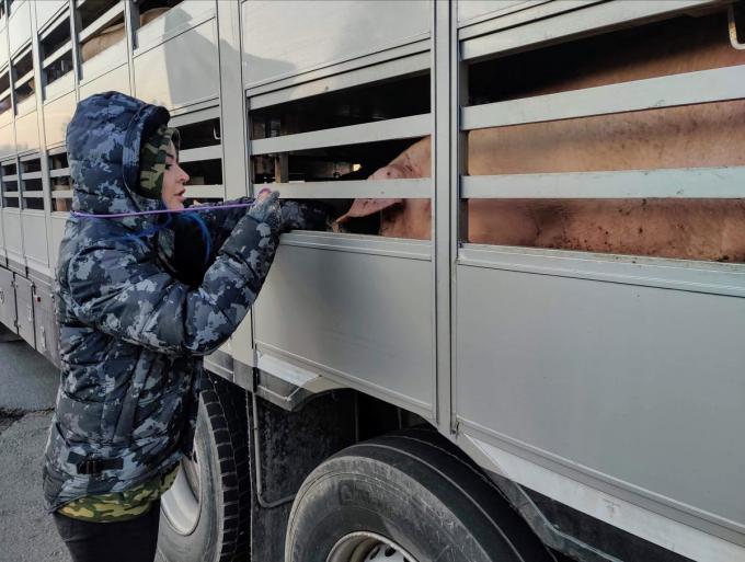De activisten namen ook afscheid van de dieren die aangevoerd werden in vrachtwagens.