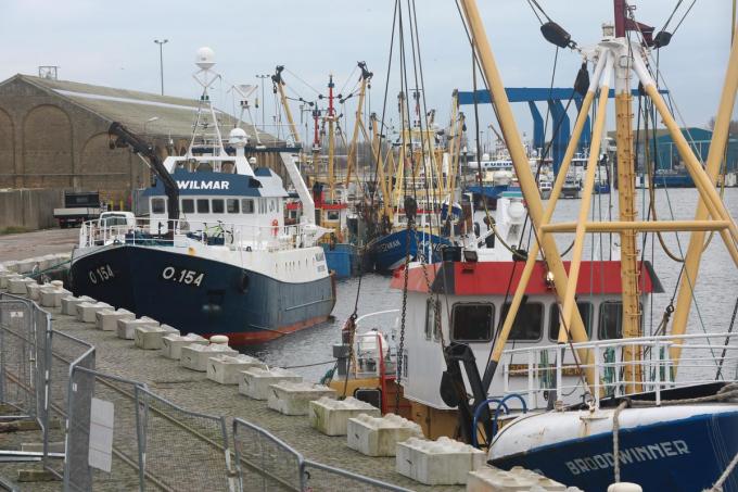 Door de werken aan het Visserijdok meren de vissersboten tijdelijk aan achter de Demeysluis