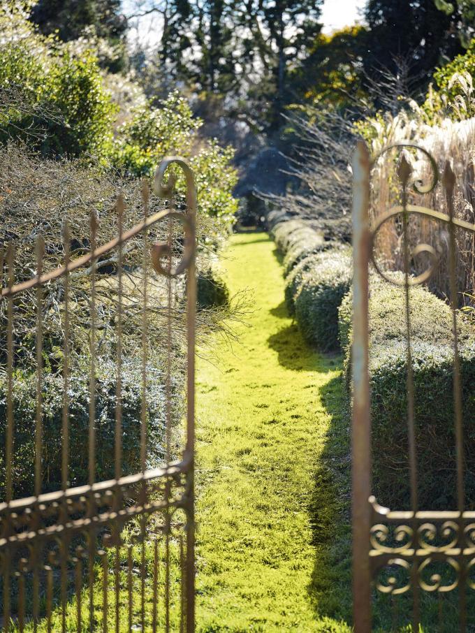 You enter the botanical garden through a wrought iron gate.