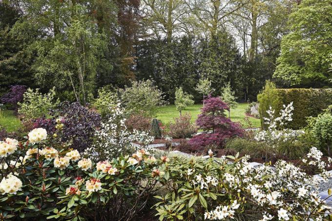 Le jardin est composé de multiples essences dont 29 espèces de rhododendrons.