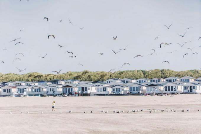Het volstaat niet om de kust van Zandvoort om te dopen tot Amsterdam Beach. “Als je een buitenwijk wilt promoten, moet je er een goed verhaal rond creëren.”