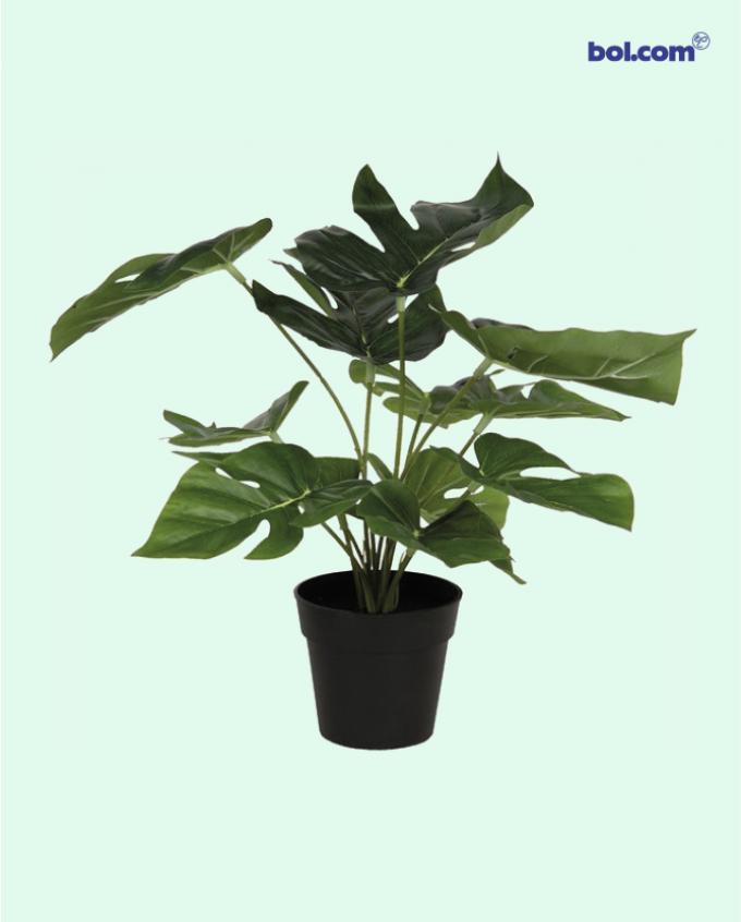 Altijd groen: kunstplant 34 cm