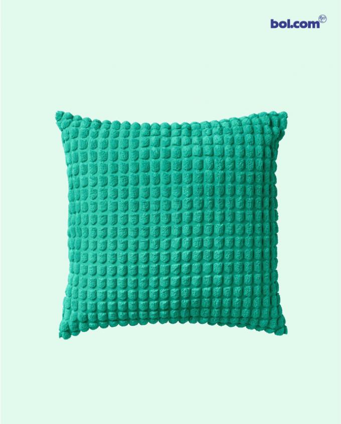 Kleurig: sierkussen 45 x 45 cm