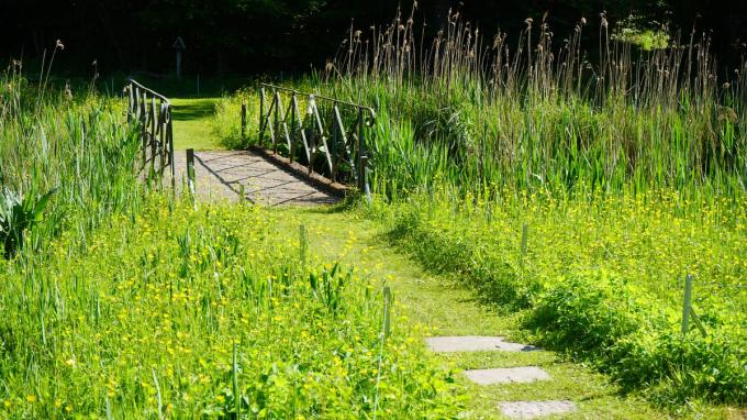 Le jardin Massart, à Auderghem.