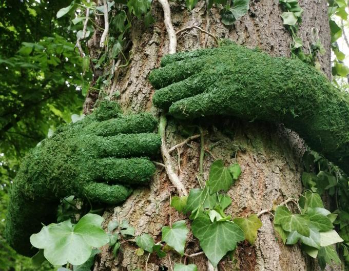 Tree Hug, de Monsieur Plant