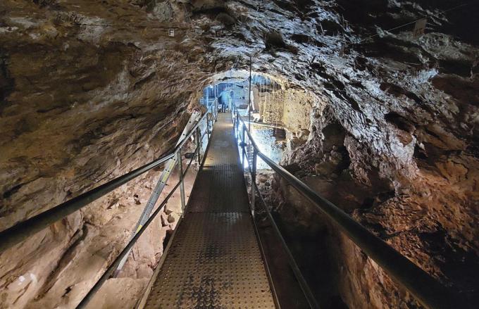 Le chantier de fouilles de la grotte Scladina se poursuit sans interruption depuis plus de trente ans.