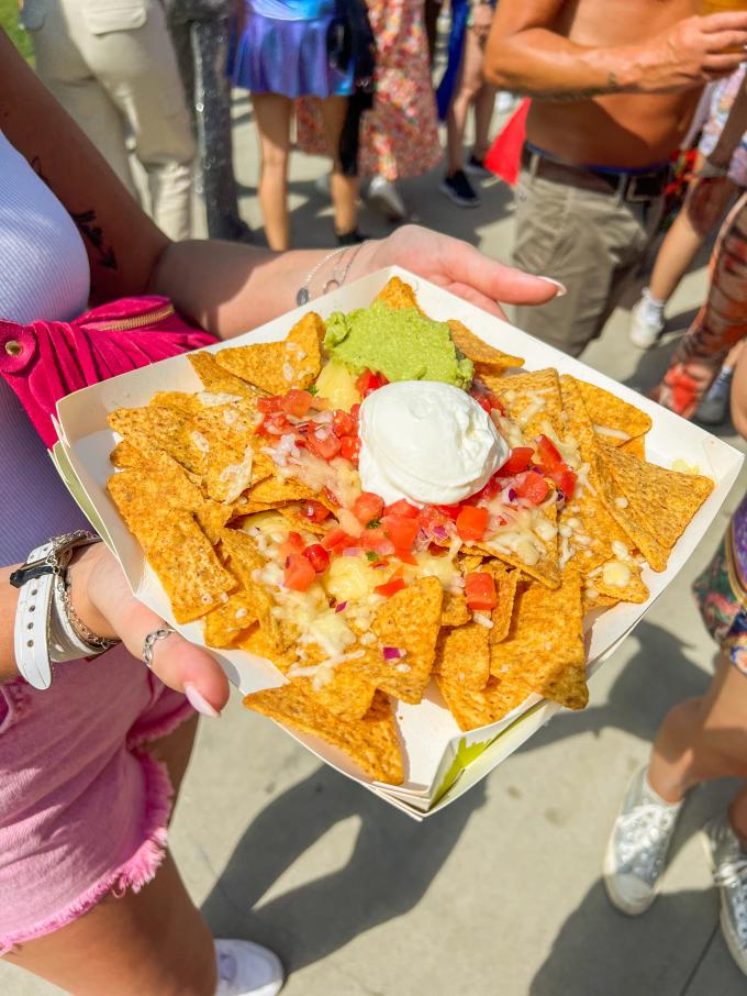 Classic nachos met guacamole