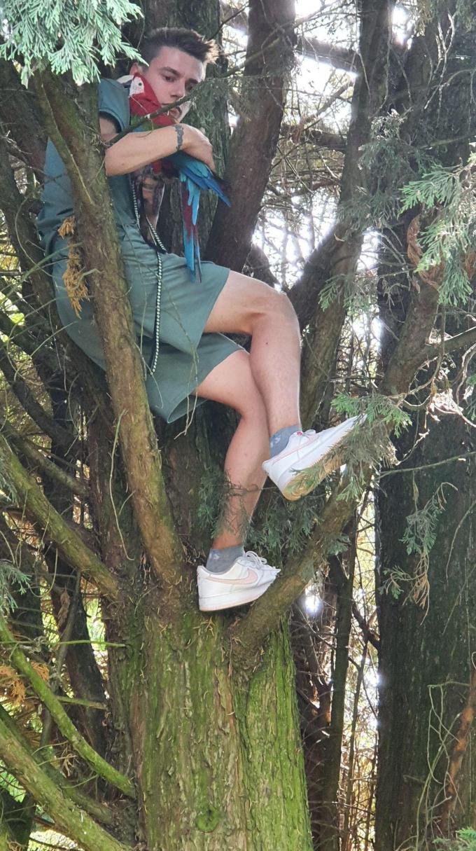 Ewout klom uiteindelijk zelf in de boom.
