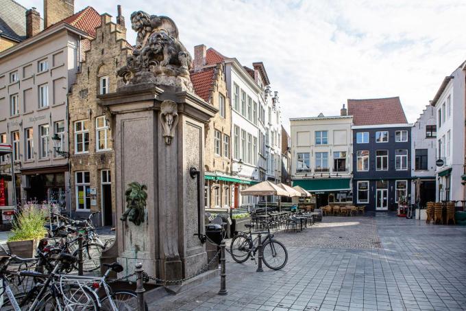 Al sinds de middeleeuwen kende Brugge een waternet dat diverse plaatsen van voldoende (drink)water voorzag. (foto Davy Coghe)